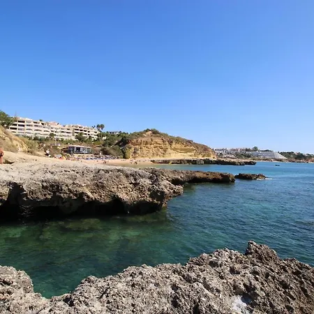 Magnifique Sur La ...