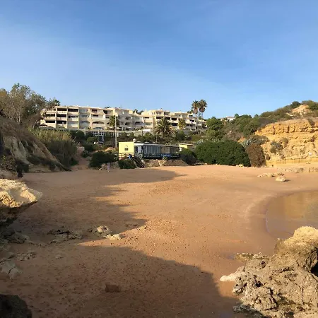 Magnifique Sur La ...