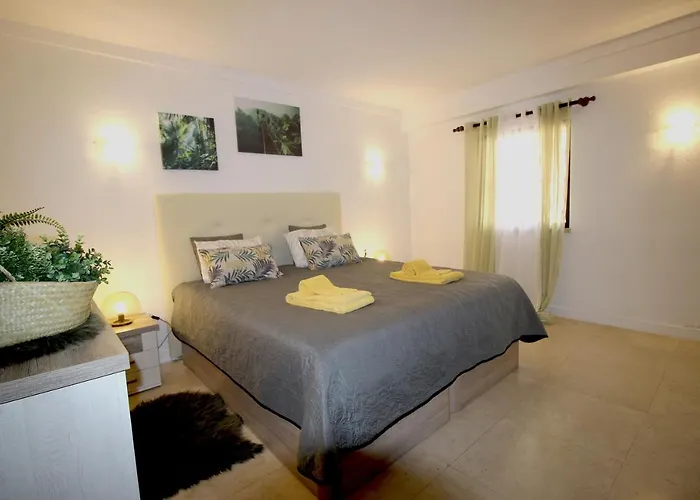 Magnifique Sur La ...