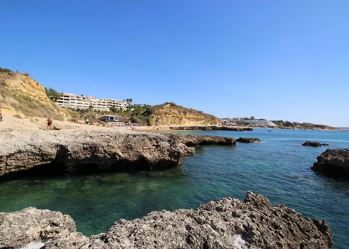 Magnifique Sur La ...