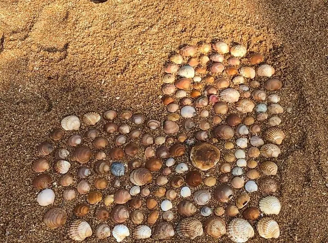 Magnifique Sur La ... Albufeira