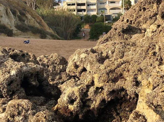 Magnifique Sur La ... Albufeira