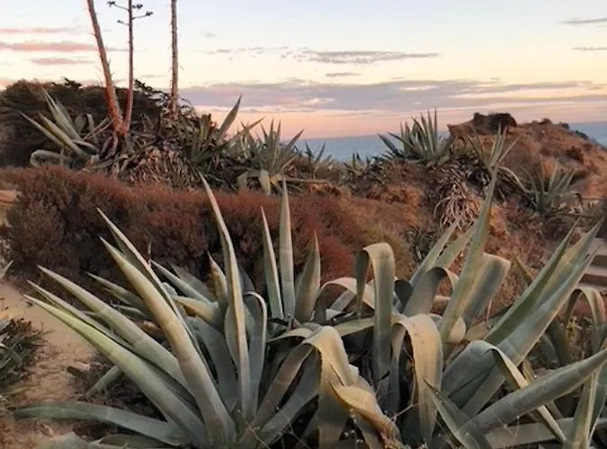 Magnifique Sur La ... Apartamento