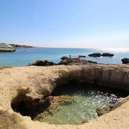 Magnifique Sur La ... דירה