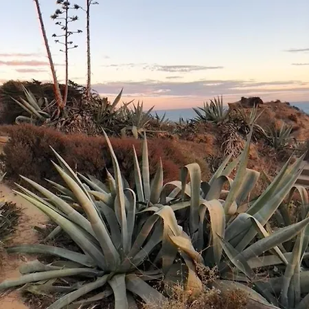 Magnifique Sur La ... شقة